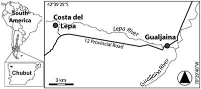 Firewood Resource Management in Different Landscapes in NW <mark class="highlighted">Patagonia</mark>